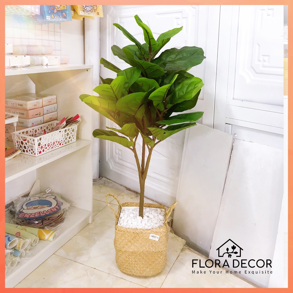 Cây bàng Singapore nhựa giả cao 1m 3 nhánh Flora Decor trang trí nhà cửa