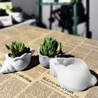 Ba chiều Ba chiều Conch mọng nước Chậu hoa nhỏ Khuôn silicon bê tông DIY Vỏ chậu Xi măng Khuôn làm vườn Gương khuôn