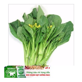 Hạt giống Cải Ngồng MậP 50 Hạt