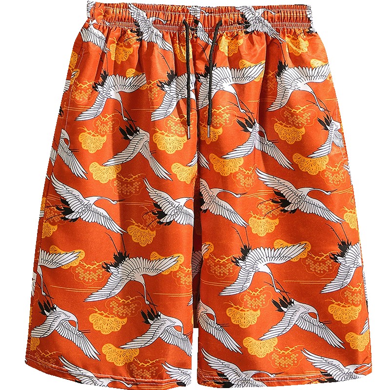 Set of Short Sleeve Flare Printed Shirts And Fashion Pants For Men | BigBuy360 - bigbuy360.vn