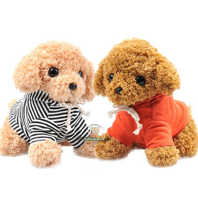 Chó poodle mặc áo 25cm