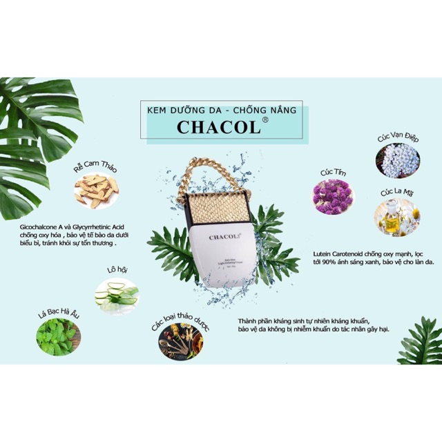 Chacolvietnam