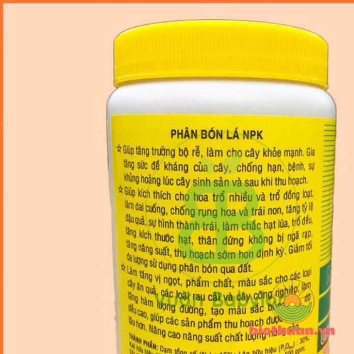 Keo trét cây sứ Keo Liền Da Mỹ Morrison 100g