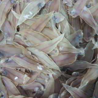 Khô lưỡi trâu nhỏ 500g