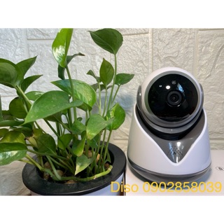 CAMERA IP CARECAM