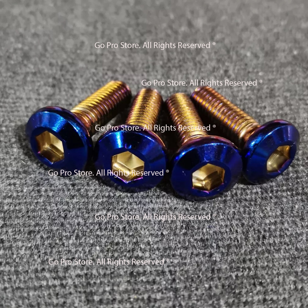 01 Ốc Đĩa Lục Giác EXCITER Xi Vàng, Titan G1181