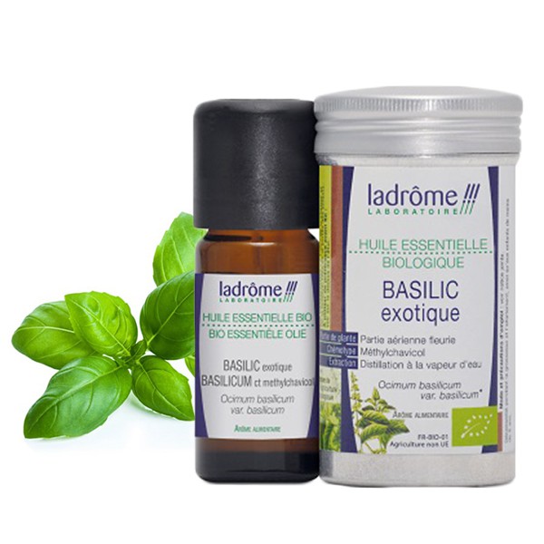 Tinh Dầu Organic Húng quế - Basilic Exotic