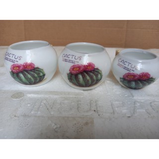 Bộ 3 Cóng Ăn Chim Chào Mào