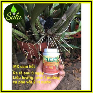 Phân bón kích thích ra rễ cực mạnh hủ 100gr