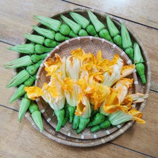 Hạt giống BÍ SIÊU NỤ (loại ngon và giầu dinh dưỡng )