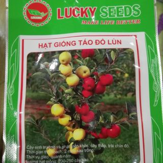 Hạt giống táo đỏ lùn