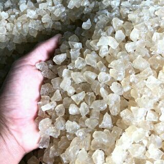500gr - 1kg mũ trôm sạch ninh thuận ( tặng hạt é)