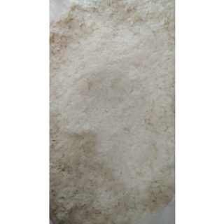 Mồi câu cá bông tuyết