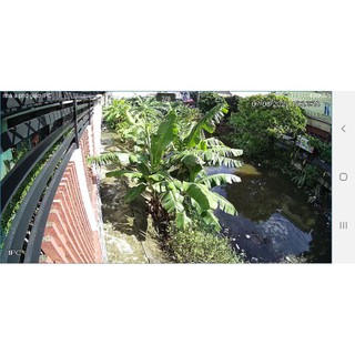 Camera IP Poe 1230 M-I2 Dahua (hồng ngoại 80m) [Siêu Rẻ]