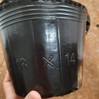 1kg túi bầu ươm cây chọn size ( Hàng loại 1)