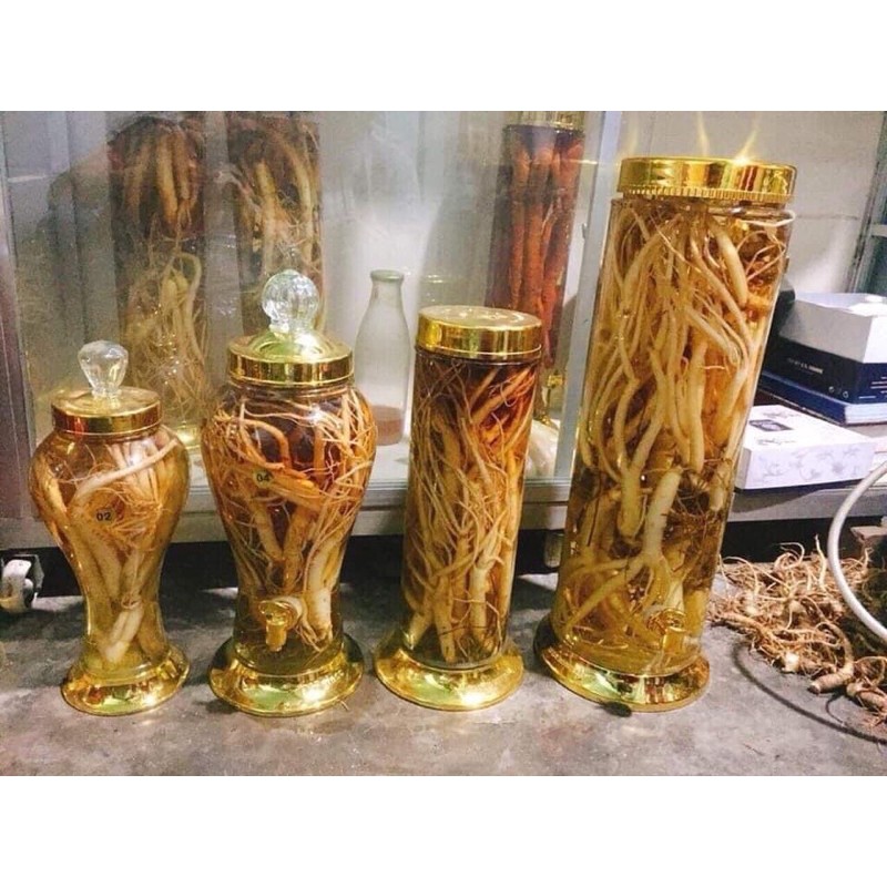 BÌNH RƯỢU SÂM NGÂM🌪🌪 💥💥💥TẾT UỐNG THOẢ GA💥💥💥