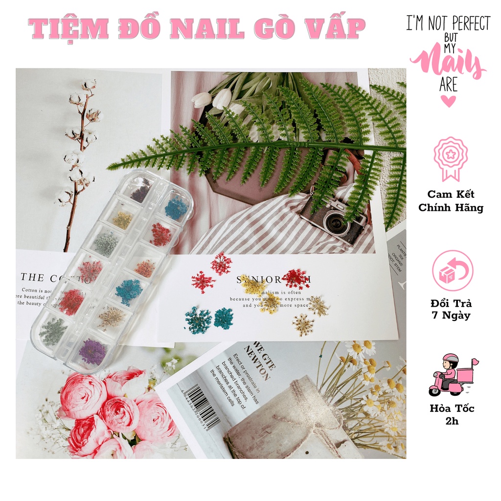 Hoa Khô Chùm Ẩn Gel
