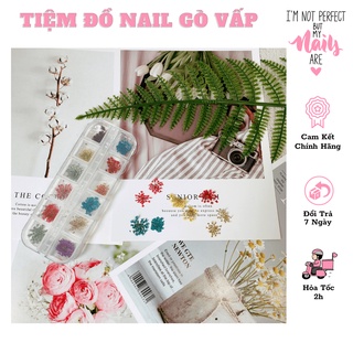 Hoa khô chùm ẩn gel