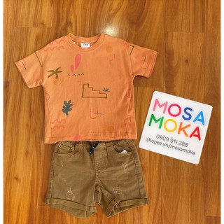 Áo thun cam đất hoạ tiết Zara auth