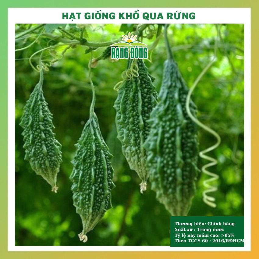 Hạt giống khổ qua rừng rau củ quả trồng chậu 4 mùa chịu nhiệt tỉ lệ nảy mầm cao 1g RADO 052