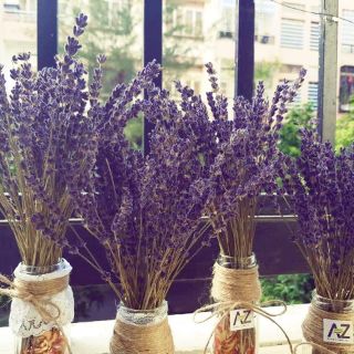 Combo lọ hoa oải hương True Lavender (bình có hoa như hình) và túi thơm