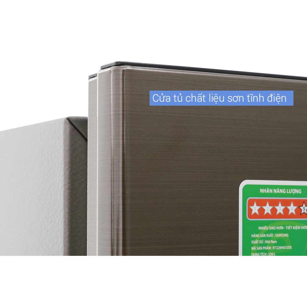 Tủ lạnh Samsung Inverter 236 lít RT22M4032DX/SV