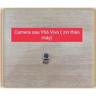 Camera sau Y66 Vivo ( Zin tháo máy)