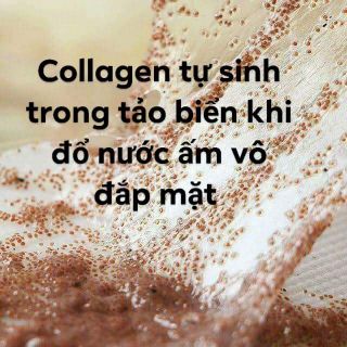 MẶT NẠ 100% TẢO BIỂN