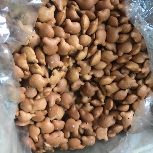 500G Bánh Gấu SOCOLA Nhân Kem Thơm Ngon-saigonfood