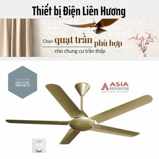 Quạt trần 5 cánh cao cấp QT06- ASIA Trắng/ Bạc/ Đen/ Vàng/Gỗ  [Chính hãng]