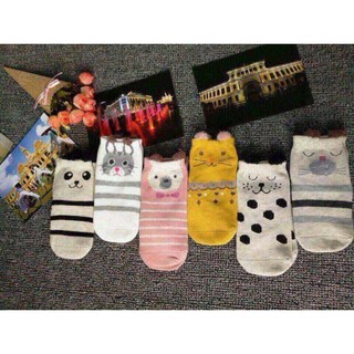 Tất mèo lố 12 đôi sz 2-4 tuổi
