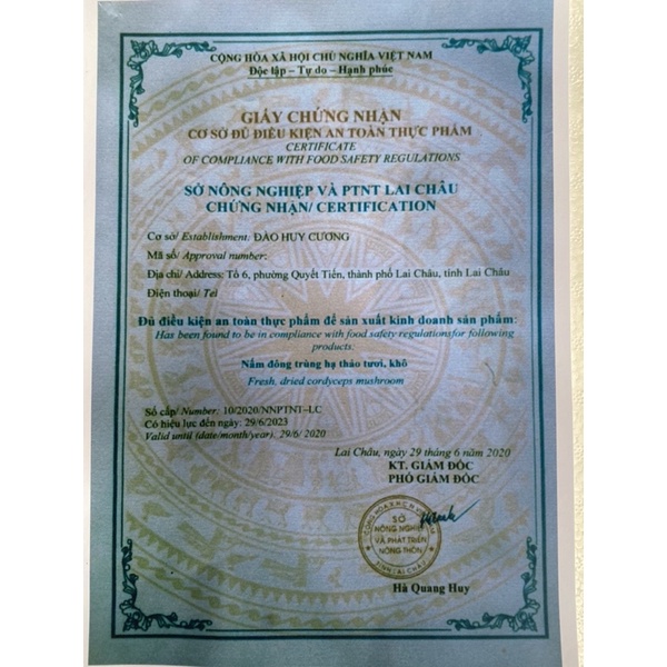 ĐÔNG TRÙNG HẠ THẢO HUY CƯƠNG SẤY THĂNG HOA - SẢN PHẨM OCOP 3 SAO