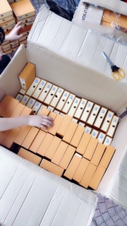 Ví bấm cúc l v