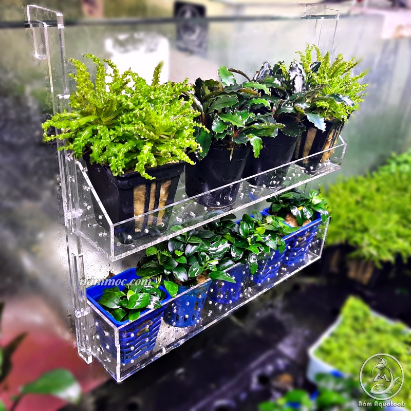 Box Treo / Kệ Treo Acrylic || Trồng Cây Thuỷ Sinh - Chứa San Hô Trang Trí Bể Cá Nước Mặn