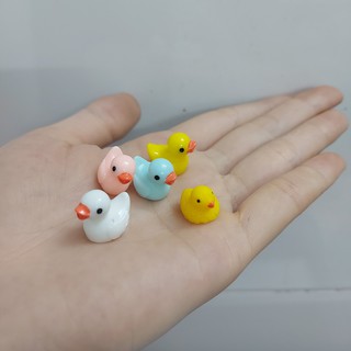 Phụ kiện trang trí tiểu cảnh: vịt mini (5 con)