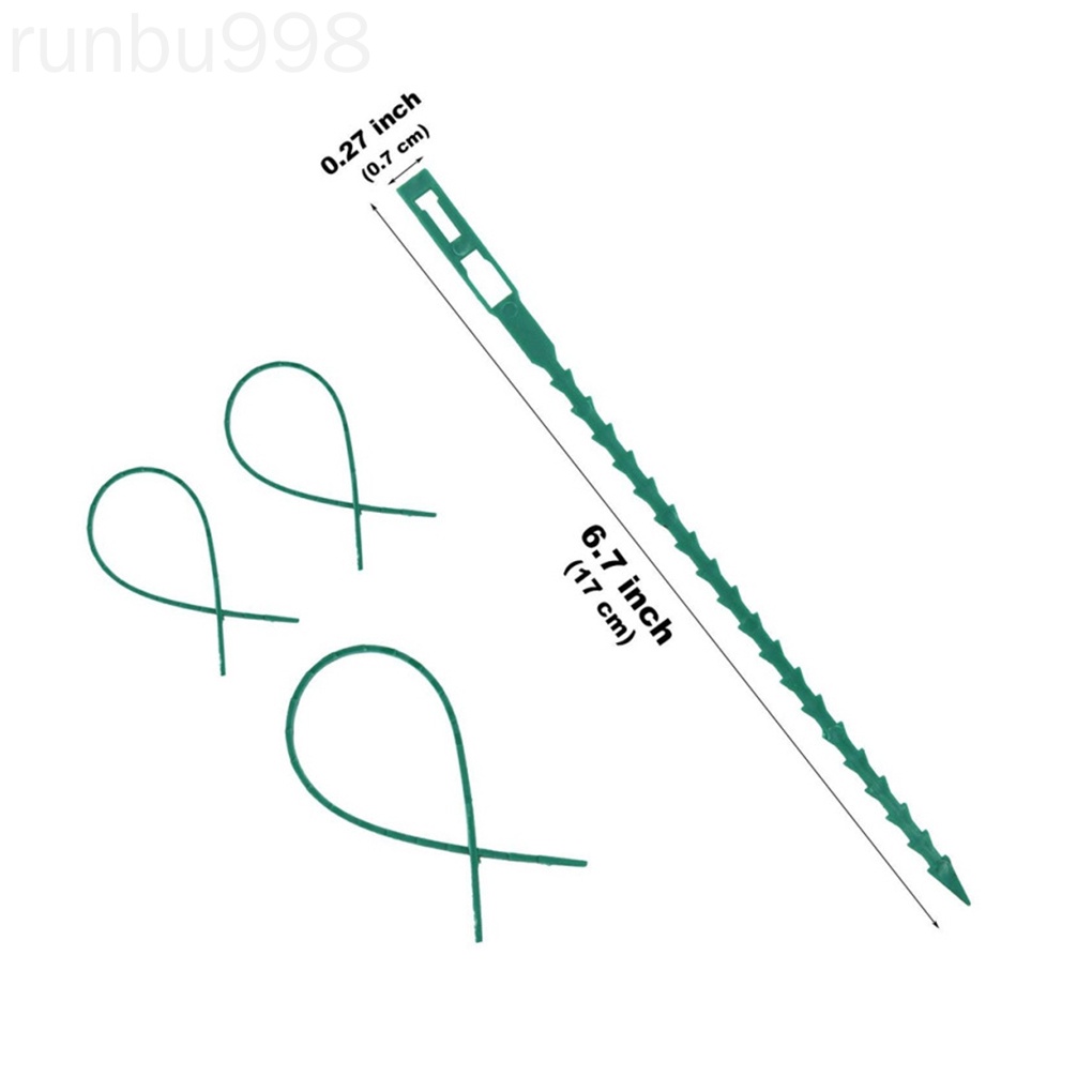 Set 50 Dây Nhựa Buộc Cây Leo Có Thể Điều Chỉnh Và Tái Sử Dụng Hỗ Trợ Runbu998