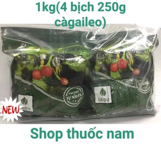 1kg trà túi lọc cà gai leo sadu