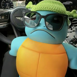 Ốp Lưng Phụ Điện Thoại