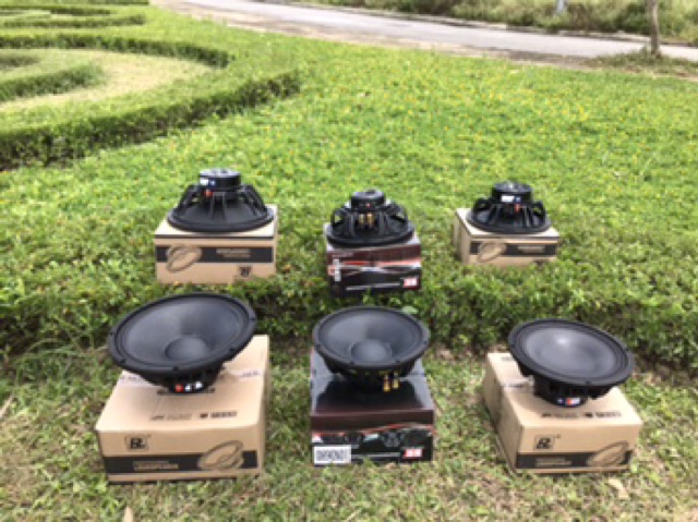 Loa bass 30 từ neo chính hãng BM