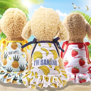 Áo váy hoa quả hè cho chó mèo 🍓🍍🍌
