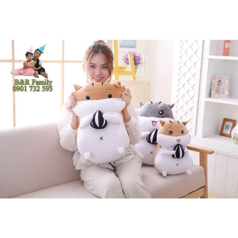 Chuột Hamster ôm hạt- sóc chuột