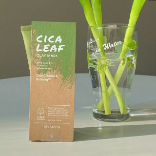 Mask đất sét rau má STEADY:D CICA LEAF CLAY MASK