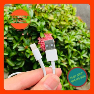 Cáp Lightning dành cho Iphone 6 , iphone 6 plus FOXCONN 5 IC