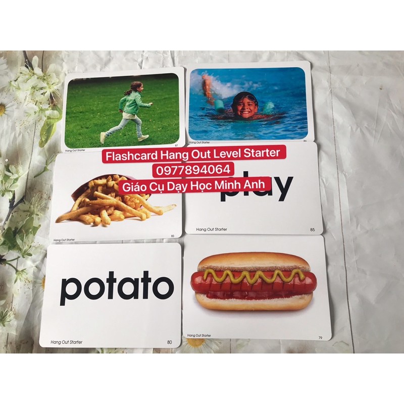 Flashcard  Tiếng Anh Hang Out Level Stater