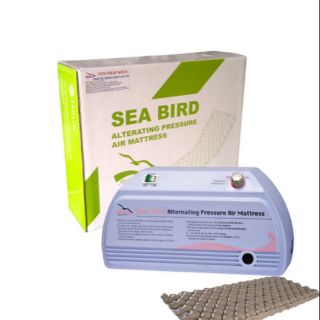 Nêm chóng loét Sea Bird