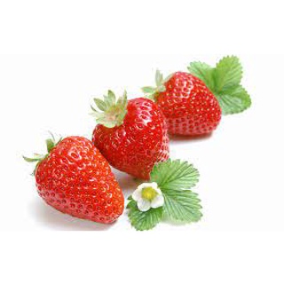 Hạt giống dâu tây  20 hạt