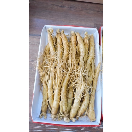 Nhân sâm tươi Hàn Quốc hầm gà 1kg 20-30 củ
