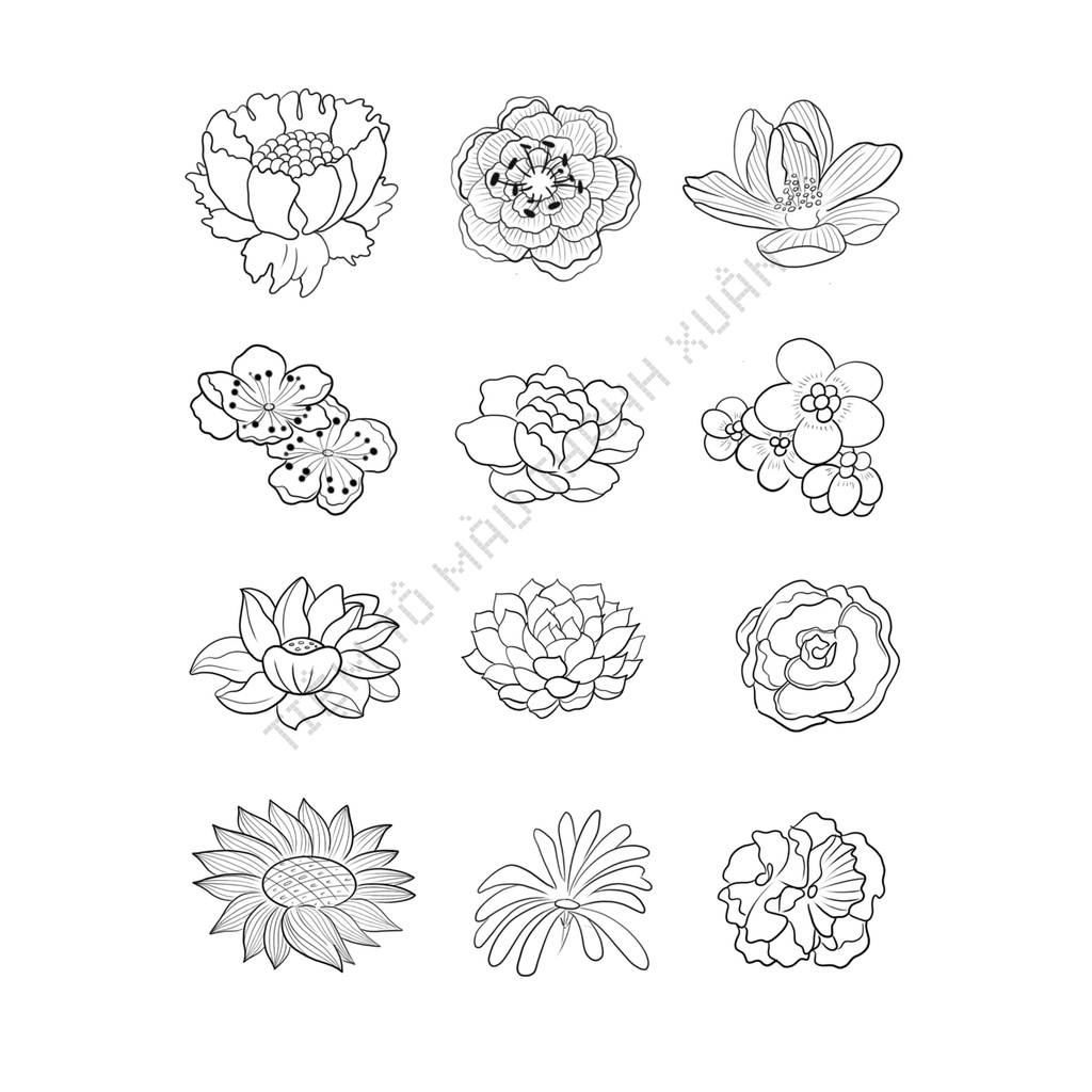 Set 7 Tờ Tranh Tô Màu Hoa Lá Tô Màu Sáp Màu Chì - Tiệm Tô Màu Thanh Xuân