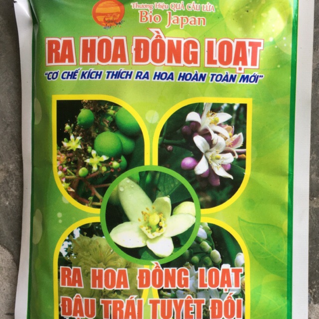 Ra hoa đồng loạt