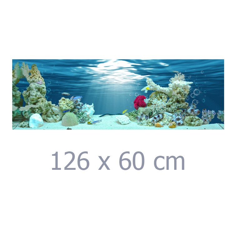 Tranh Phông Nền 3D VTC Dán Hồ Cá Aqua_040 KT 126 x 60 cm